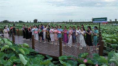 宜城：青莲绽芳华 莲韵润万家 