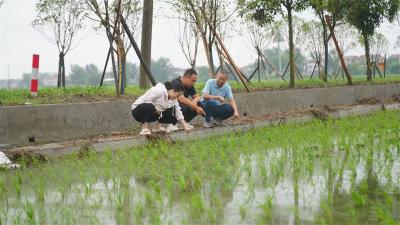 宜城市农业农村局：农业专家到田间 稳产增收保秋粮
