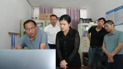 肖平到小河镇调研督导群腐问题集中整治等工作