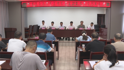宜城市委第四巡察组向市审计局党组反馈巡察情况