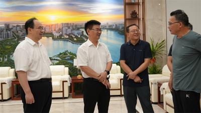 襄阳市领导来宜调研重大项目建设