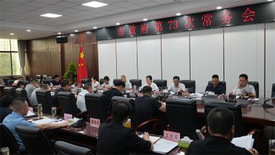 宜城市政府第73次常务会议：深化群腐整治 加快民生项目建设 
