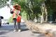 宜城市500余名环卫工人顶高温战酷暑 用汗水擦亮城市