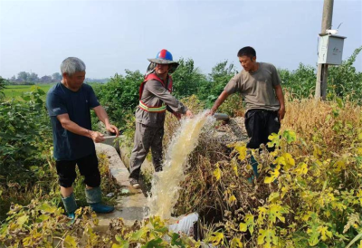 宜城市：电引甘泉润稻田 党群携手保丰收
