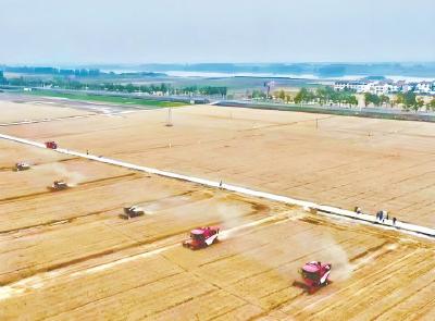 平畴沃野好“丰”景　科技赋能奏欢歌——宜城市推进农业农村工作高质量发展综述