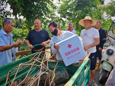 湖北宜城：爱心汇聚抗旱一线 全力保障农田灌溉