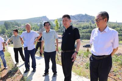 【生态环境专项监督】宜城市人大常委会：开展生态环境专项监督 推动矿区生态修复提质增效