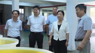 襄阳市人大常委会领导来宜城走访看望人大代表