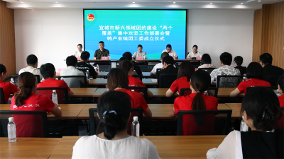 宜城市部署新兴领域团的建设“两个覆盖”集中攻坚工作