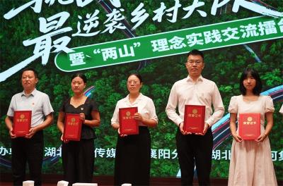 宜城市两村荣获“最逆袭乡村”奖项