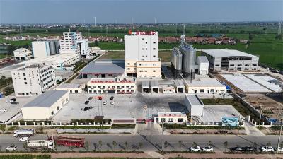 宜城市：服务赋能 百万吨饲料产业向集群跨越