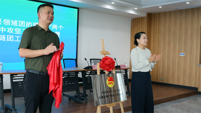 宜城市鸭产业链团工委正式成立