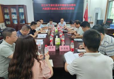 宜城市对接汉江中下游支流水环境综合治理项目