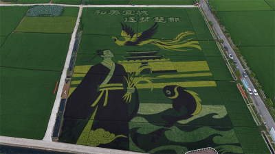 鄢城街道木渠村：稻田画卷展乡土新颜 赋能乡村振兴