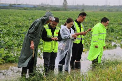 人保财险宜城支公司：闻“汛”而动 保险护航显担当