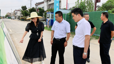 宜城市领导调研文旅重点项目建设 