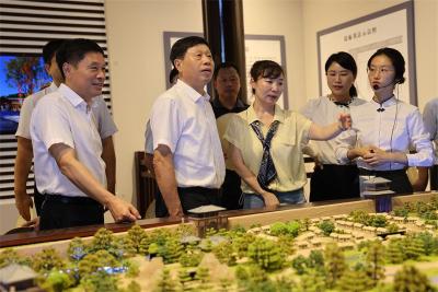 省政协领导来宜开展“加强长江文明溯源研究和传播展示”调研