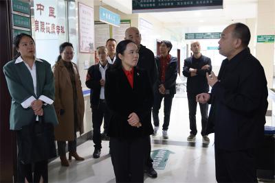 宜城市人大常委会开展紧密型县域医共体建设专题调研