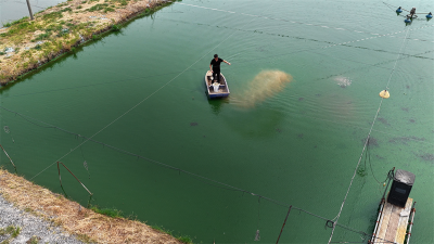 丁杰：小泥鳅养成“黄金产业” 11年坚守铺就乡亲致富路