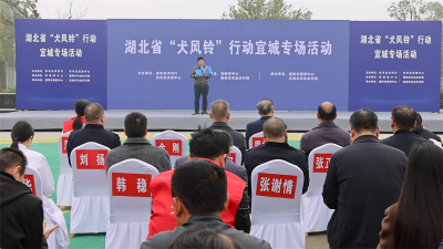 湖北省“犬风铃”狂犬病防控行动宜城专场启动