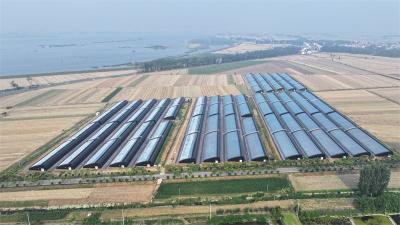 宜城：“功能镇区”建设绘就城乡融合新画卷 