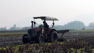 宜城：农业科技添新翼 无人机飞播显“威力” 