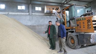 宜城：烘干设备昼夜不息 筑牢秋粮安全防线 