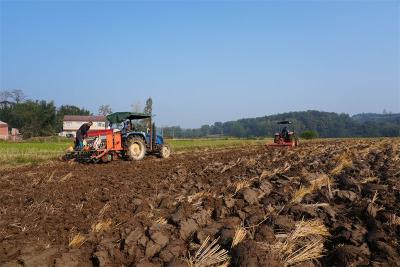 刘猴镇：扎实推进秋播生产 全力筑牢粮油安全根基