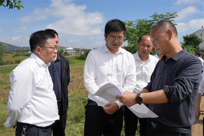 王迪专题调研乡村振兴“四项行动”及全域国土综合整治工作
