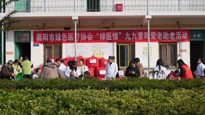 襄阳市绿色医疗协会到流水镇开展重阳节爱老助老义诊活动