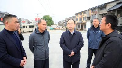 武义泉：推动各项工作提质提速 确保“四项行动”首战告捷