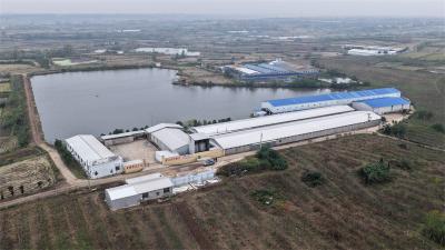 点“粪”成金！黑水虻循环农业为乡村振兴注入绿色动能