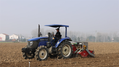 湖北宜城：良种同台“竞技” “麦”向丰收新希望