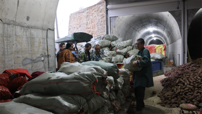 湖北宜城：“薯”满田间采收忙 电商助销结“富果”