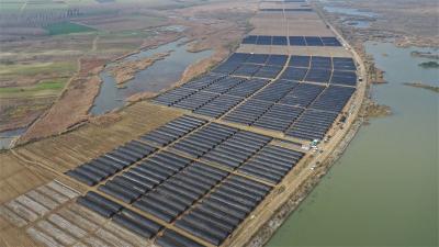 冬闲田里生出“金疙瘩” 宜城羊肚菌产业蹚出富民路