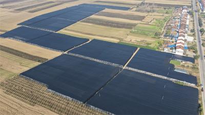 湖北宜城：抢抓好时节 种植羊肚菌