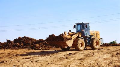 南营街道金山村：“四项行动”绘就生态富民新图景
