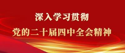 学习新语丨党的二十届四中全会公报一图速览