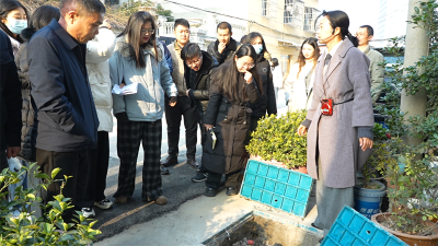 龙头街道：观摩基层亮点工作 年轻干部在实践中淬炼成长