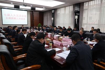 【聚焦两会】宜城市第七届人民代表大会第五次会议主席团举行第三次会议