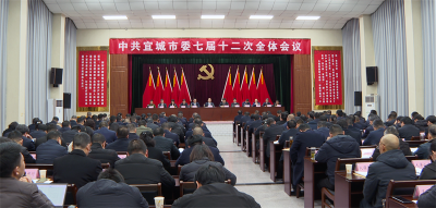 中共宜城市委七届十二次全体会议举行