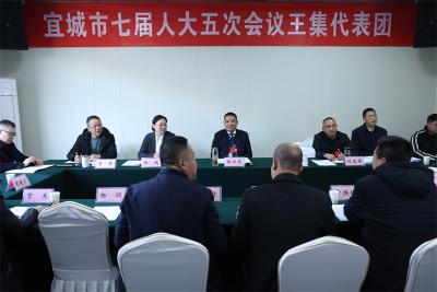 【聚焦两会】人大代表分团审议《政府工作报告》