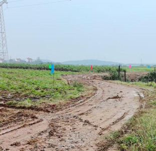 精心规划设计“千亩方”  绘就南营金山乡村振兴壮美新篇