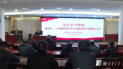 【深入学习贯彻党的二十届四中全会精神】宜城市行政审批局 学习贯彻党的二十届四中全会精神宣讲报告会举行