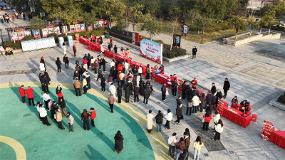 宜城开展“国际志愿者日”主题活动