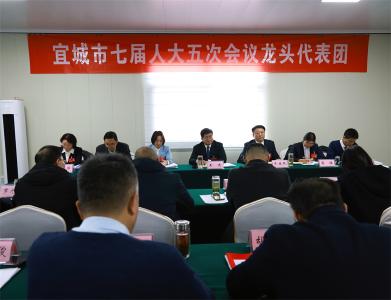 【聚焦两会】王迪参加市七届人大五次会议龙头代表团审议