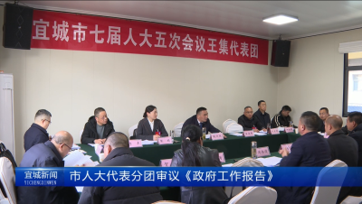 【云视听】【聚焦两会】市人大代表分团审议《政府工作报告》