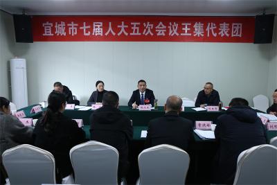 【聚焦两会】人大代表分团审议《宜城市人大常委会工作报告》