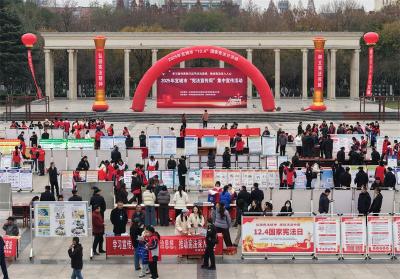 宜城市开展“国家宪法日”集中宣传活动