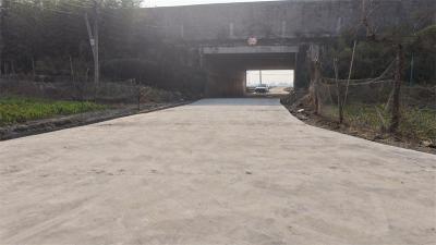 乡贤捐资修路惠民生 同心共建美丽新杨湖